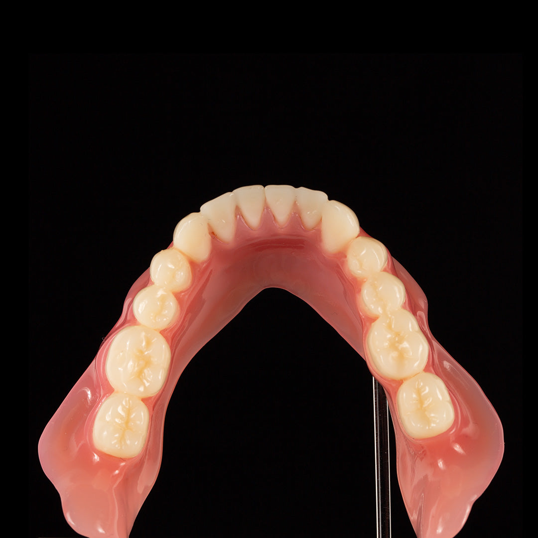 Deltamed: 3Delta Denture Base