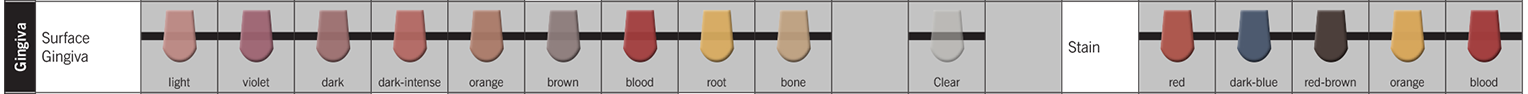 Soprano Surface Gingiva Shade Chart